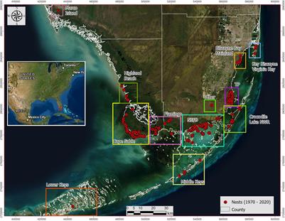 Natural and Anthropogenic Factors Influencing Nesting Ecology of the American Crocodile in Florida, United States